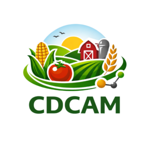logo cdcam
